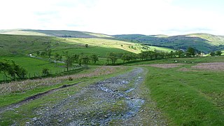 On Glyndwr's Way above Bwlch house - geograph.org.uk - 4012278.jpg