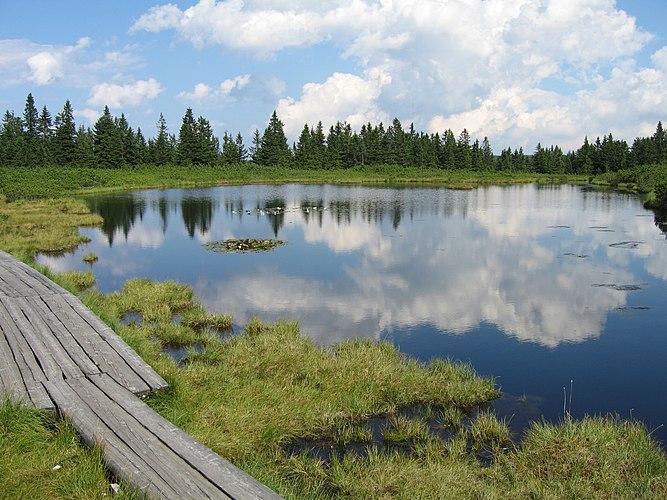 Озеро Рибница (Словения)