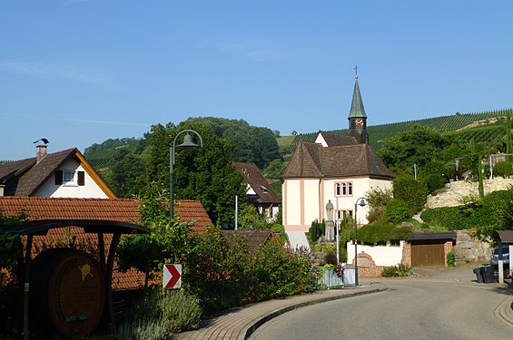 Ringelbach (Ortenau) vineyards in 2017