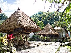 The raised bale houses of the Ifugao people.[10]