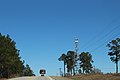 US441 NB Telfair County forestry tower