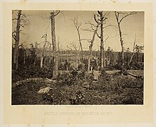 Battle Ground of Resacca (sic), GA. No. 3 (8170378177).jpg