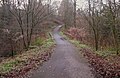 Pont sobre el pantà de Bog en el Glen