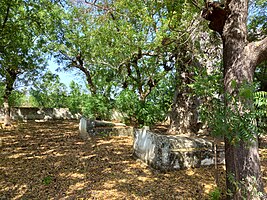 Cimetière allemand de Mango