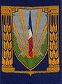 Нагрудный знак CJF (2-й тип)