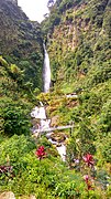 Curug Bajing Petungkriyono Pekalongan