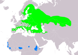 Ареал E. hortulana     гніздування      зимування