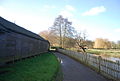 Footpath along the River Wey