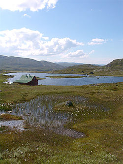 Pohled na náhorní plošinu Hardangervidda