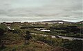 Blick zum Wald Mid-Hoydalur, südlicher Teil