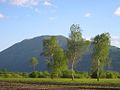 Ljubljana marsh with mt. Krim Ljubljansko barje s Krimom