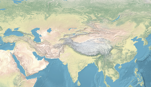 Ayyubid dynasty is located in Continental Asia