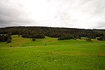 Forêts du Beucle