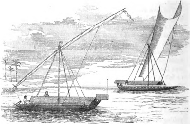 Paduakan (padewakang) des Célèbes, 1863.