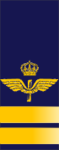 Svenska flygvapnet