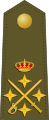 General de ejército (Spanish Army)