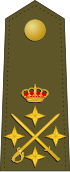 Divisa de general de Ejército