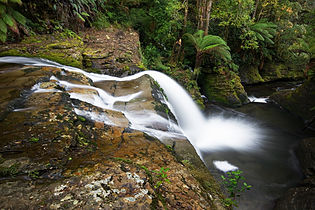 Spout Falls, Tasmania