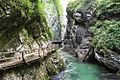 23.7.09 Vintgar-Klamm