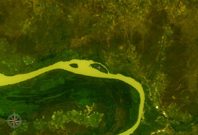 NASA-World-Wind-Satellitenbild: Der Gambia fließt hier im Bildausschnitt in westlicher Richtung. Der Nianimaru Forest Park beginnt auf der Fluss-Nordseite gegenüber Bird Island.