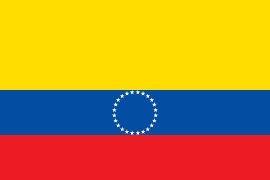 Bandera municipal. Proporción: 2:3