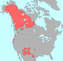 "Mappa del Nord America che mostra in rosso la distribuzione prima del contatto delle lingue na-dene"
