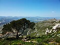 Montgó, Alicante Province, Spain