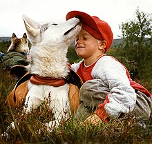 Un cane bianco con una pettorina accarezza scherzosamente un ragazzino