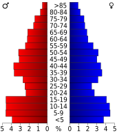 Bevolkingspiramide Hidalgo County