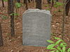 46th Pennsylvania monument, Cedar Mountain Battlefield