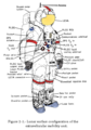 Apollo A7LB spacesuit diagram
