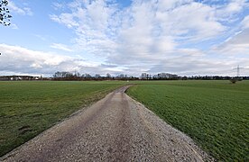 Floodplain in Vach LSG Rednitz-, Pegnitz- und Regnitztalsystem 2023-02-19 41.jpg