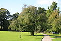 Appelboom op het koninklijk domein:Kasteel Gravenstein