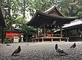 拝殿とシンボルの鳩