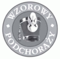 Odznaka tytułu honorowego "Wzorowy Podchorąży" (wzór 2010).