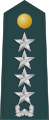 Đại tướng Lục quân Hàn Quốc