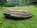 Toneisenknolle im Geologischen Garten