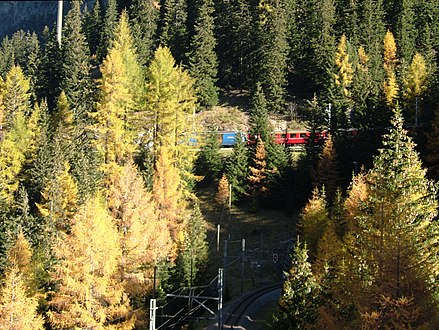 Northbound train heading for Zondra spiral tunnel Nordwärts fahrender Zug auf dem Weg zum Zondra Spiraltunnel