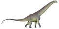 Alamosaurus