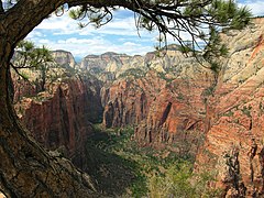 stunning view from Angel's Landing, Zion National Park