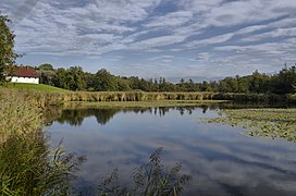 Bichelweiher.v01.jpg