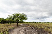 Kaloko Honokōhau National Historical Park, Big island, Hawaii