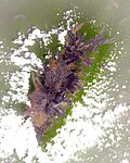 Thumbnail for File:Mount Cameroon (ASTER).jpg