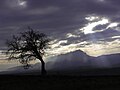 Vista desde Araguás del Solano