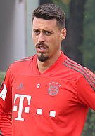 Sandro Wagner -  Bild