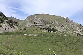Vall del Madriu-Perafita-Claror - 35.jpg