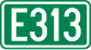 Europese weg 313