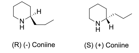 Coniine enantiomers 2.png