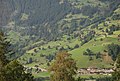 Verstreute Häuser der ausgedehnten Siedlung Grindelwald