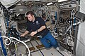 Greg Chamitoff works with the Microgravity Sciences Glovebox and the Commercial Generic Bioprocessing Apparatus